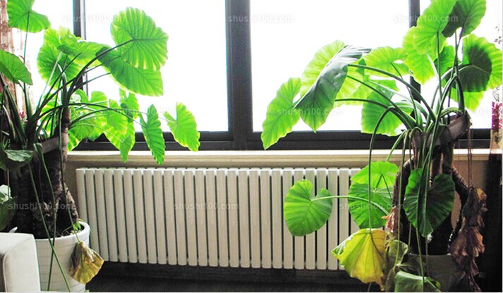 优德88·(中国区)官方网站